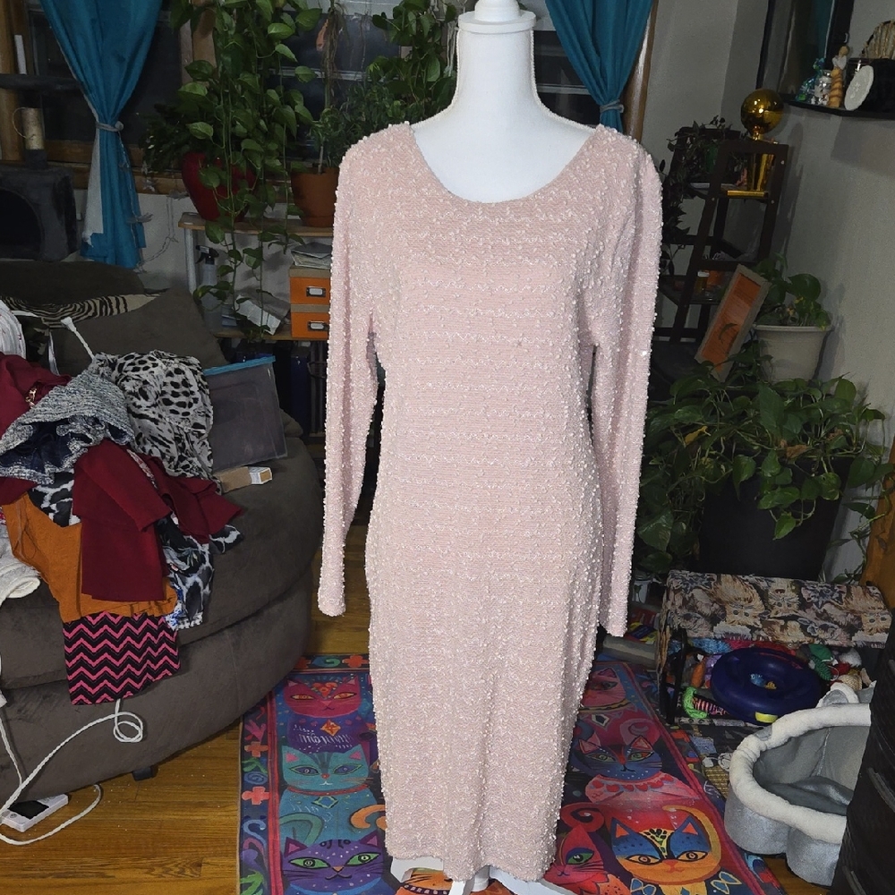 NWOT Jennifer Lopez Blush Long Sleeve Dress